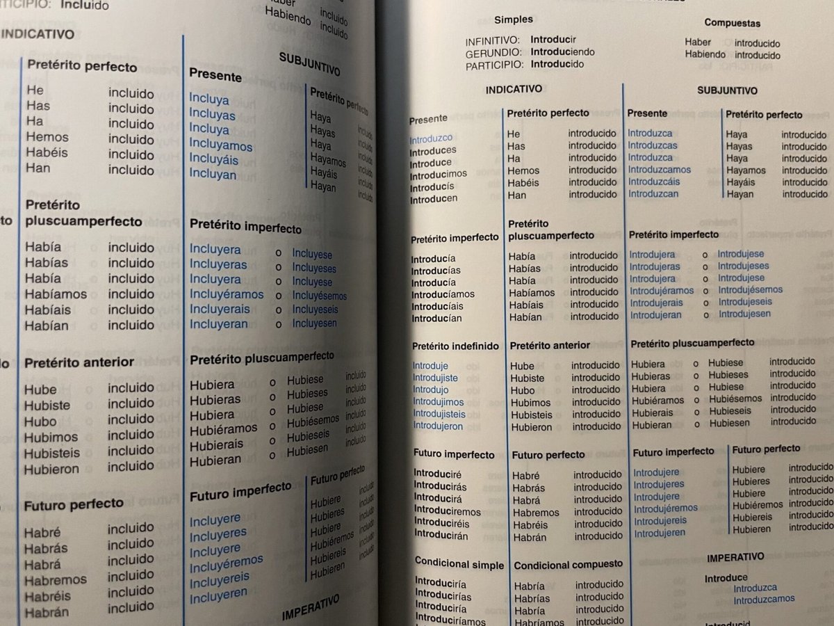 Irregular Verb Forms Detail Conjugation Rules and Exceptions